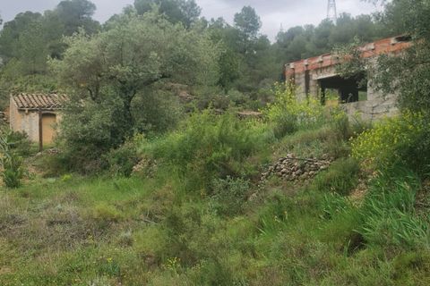 Ruïna a Mora D'ebre, Tarragona, Mora D'ebre - € 38.000 | Ref: 958 Lumoru - foto 13
